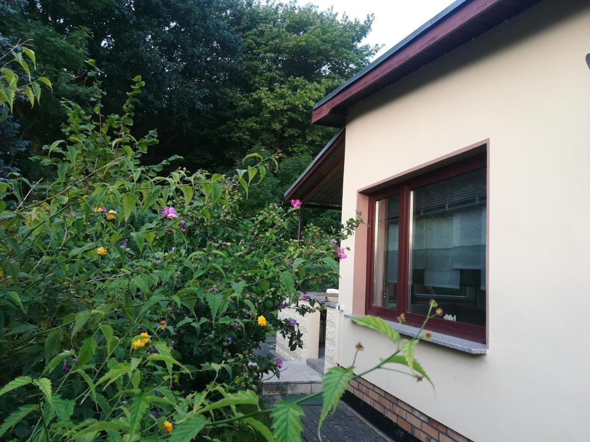 Ferienhaus Am Wald Loissin Exteriör bild