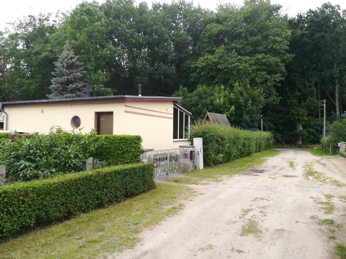 Ferienhaus Am Wald Loissin Exteriör bild